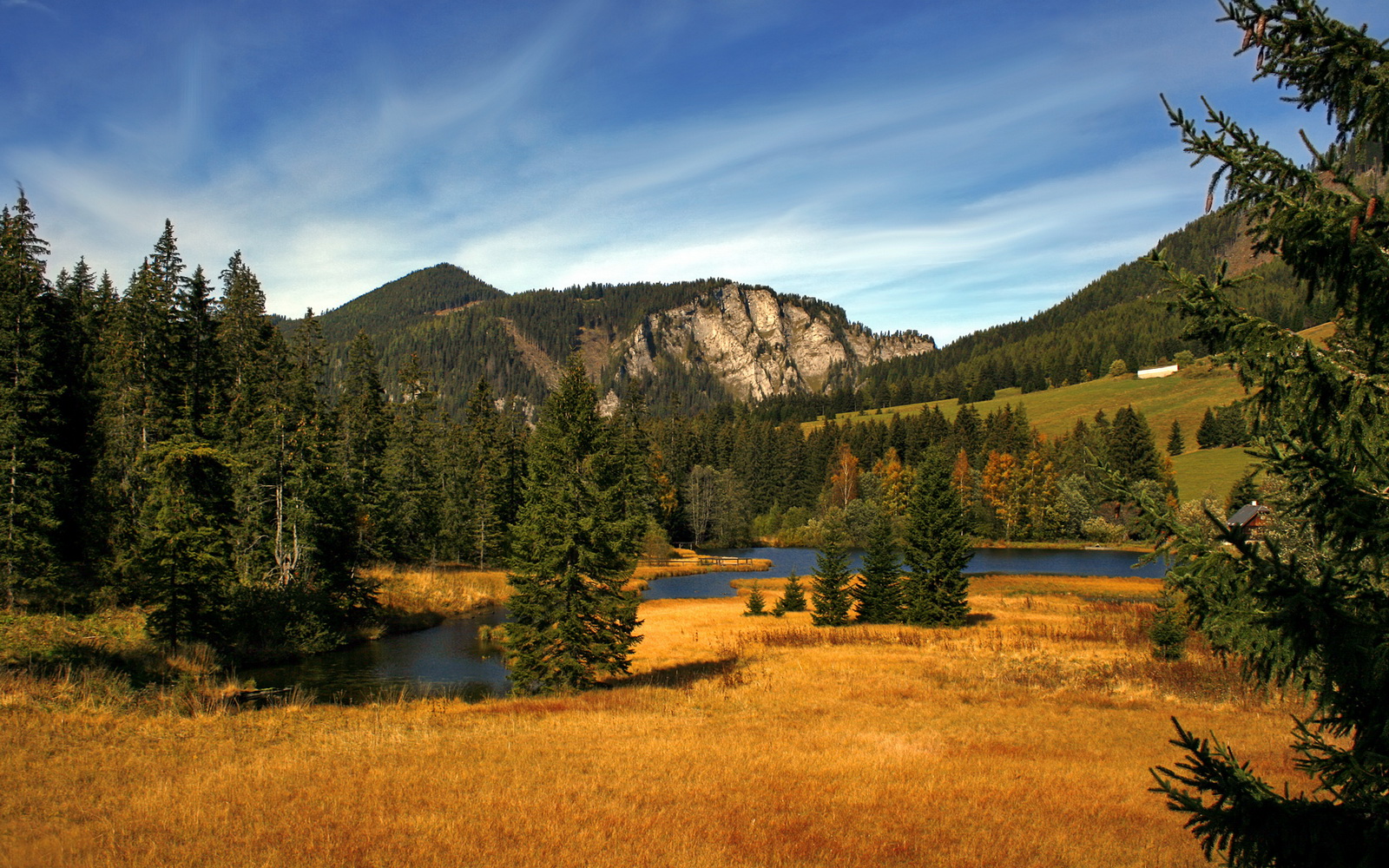 最后一座奖杯，当四代龙魂共战奥恰洛夫的时代幻阵