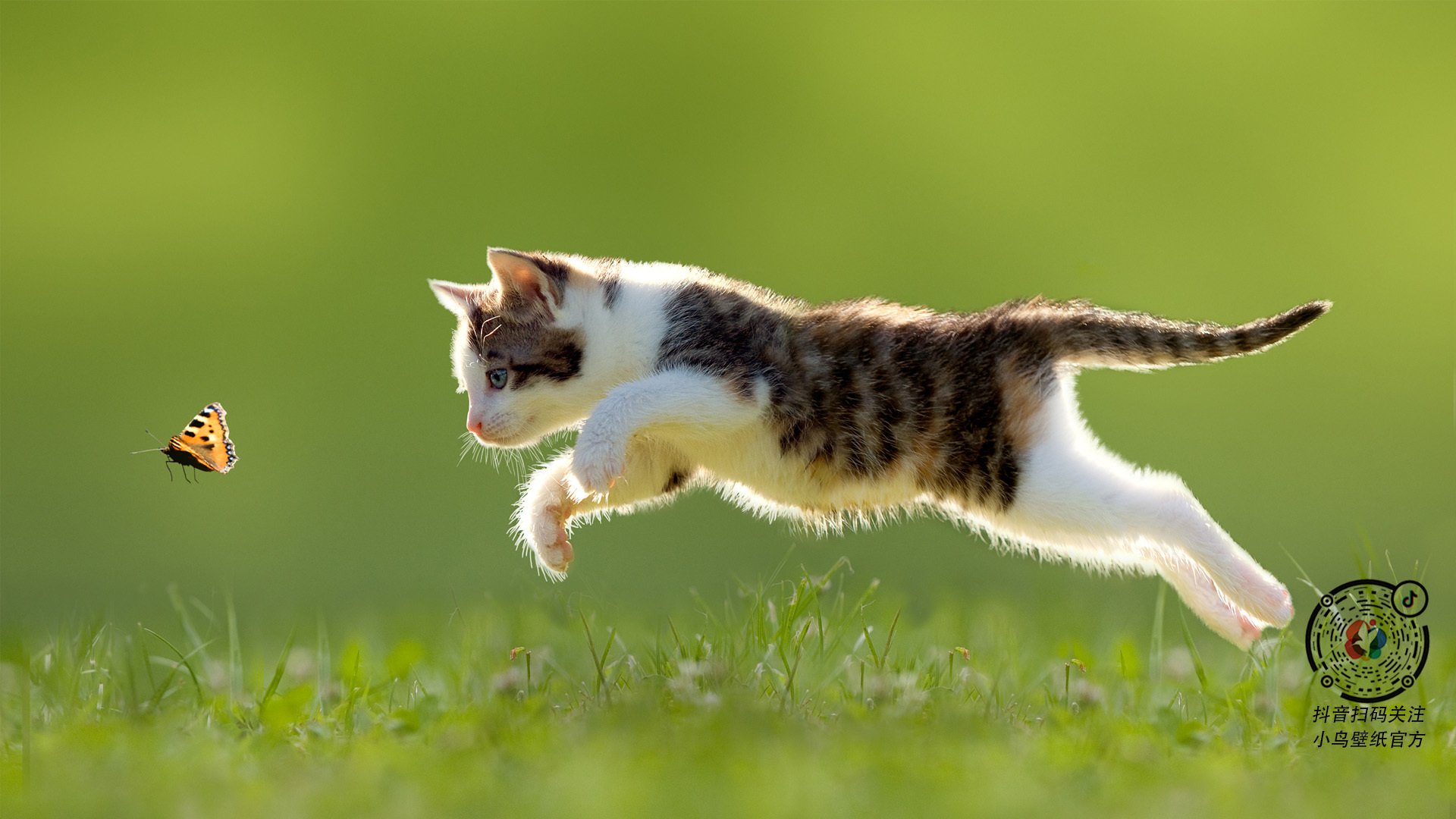 网球的黄昏，纳达尔的火焰，一场关于唯一性的终极书写