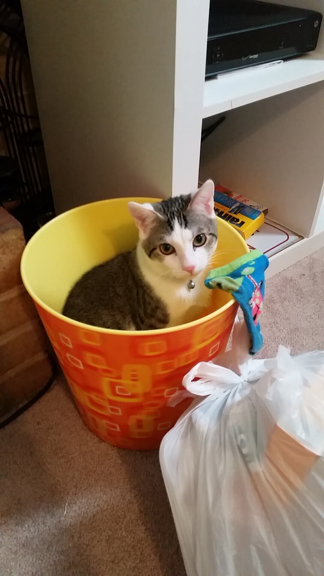 冰与火之歌，安赛龙的绝对统治与马来西亚的致命绝杀一夜羽坛，两种极致的胜利剧本