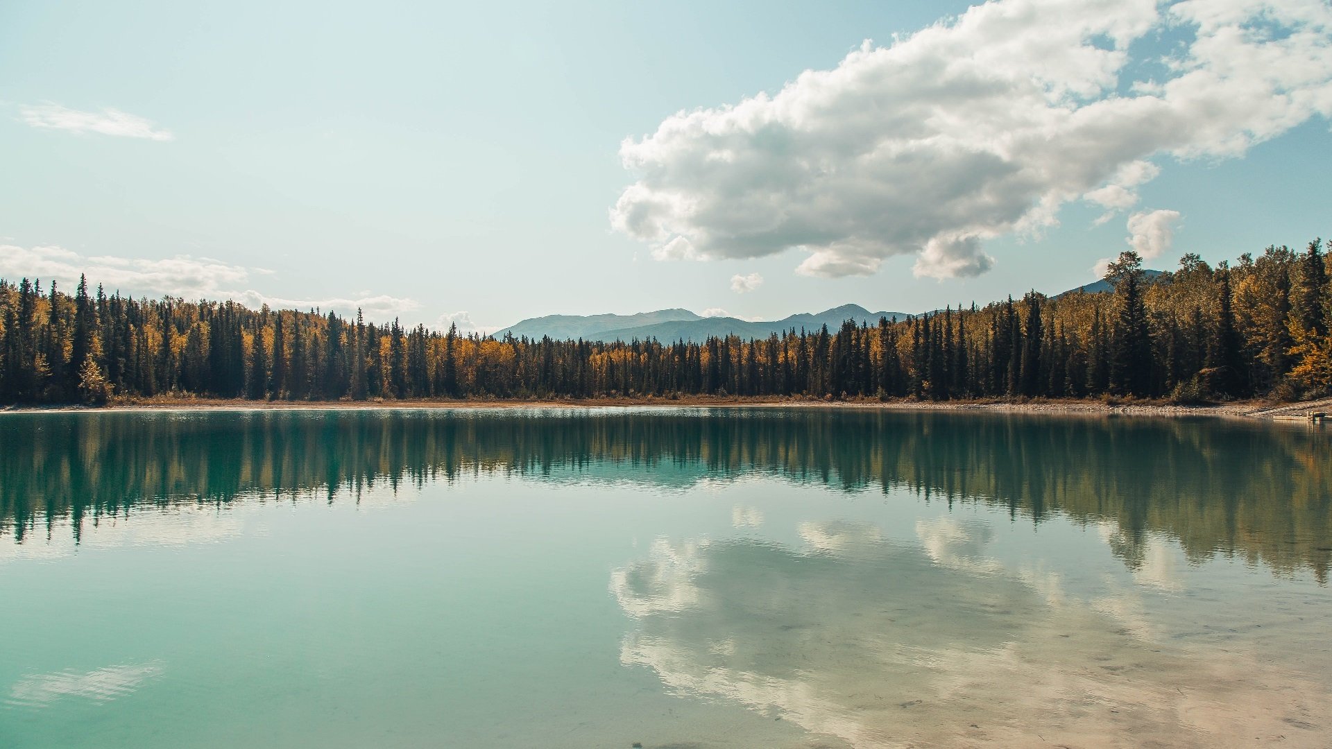 羽翼为刃,当黄鸭组合成为中韩对决的破壁者