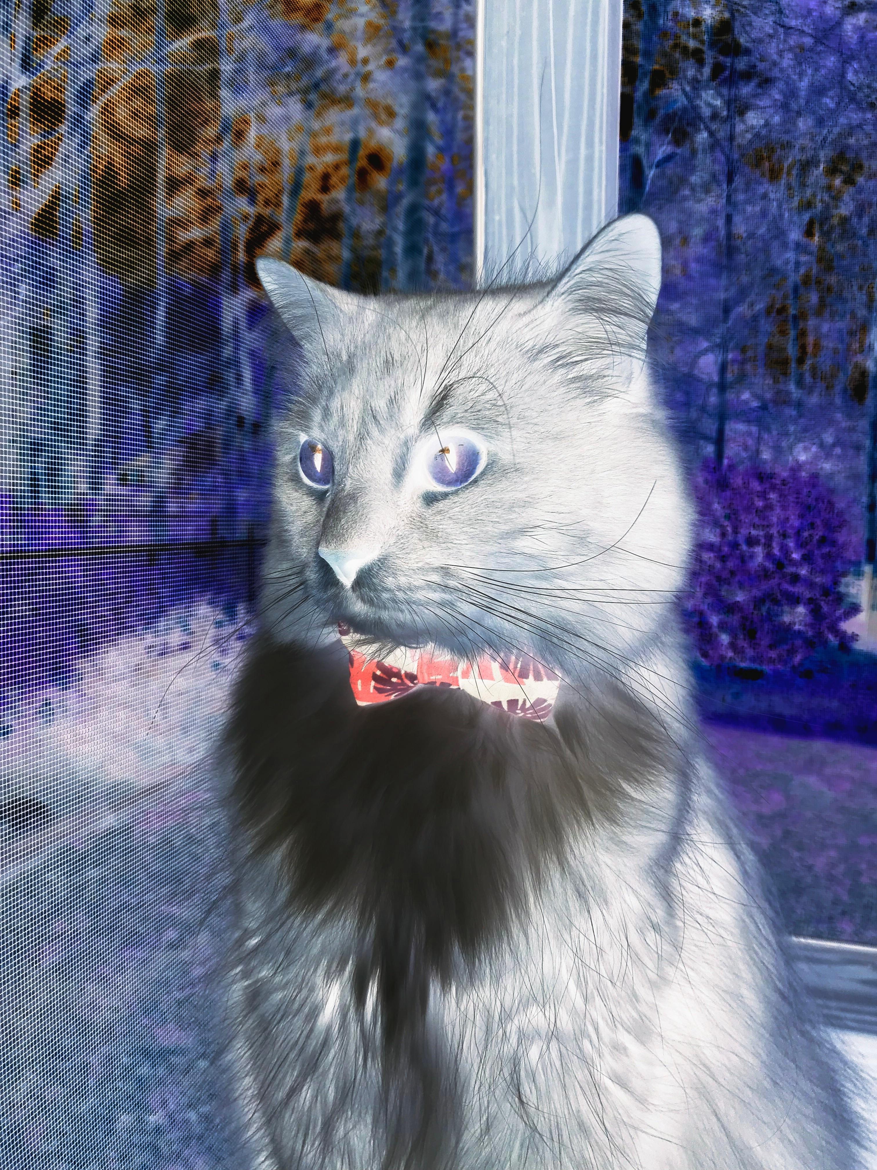 欧冠半决赛焦点战惊现一边倒！新疆队以狂暴攻势冲垮吉林队，晋级悬念几近终结