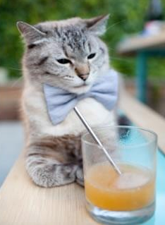 赛场迷思,当塔图姆的里程碑遭遇写错名字的夜晚