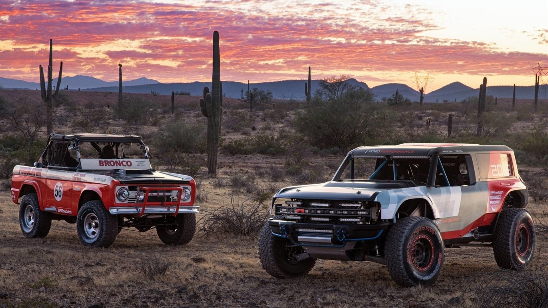 奥运门票争夺战,丹麦狂胜委内瑞拉的意外与必然