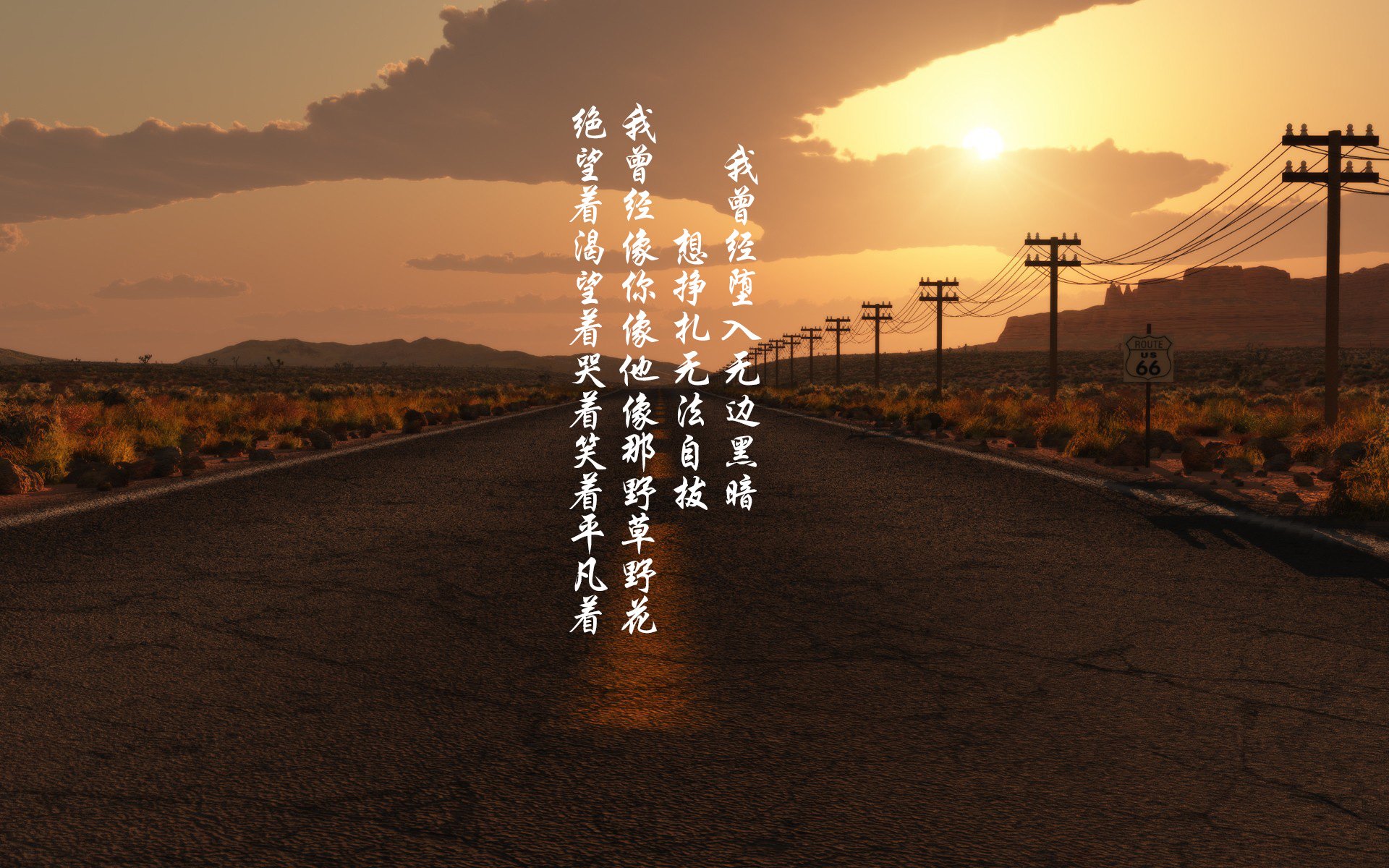 武切维奇狂轰30+20主宰内线,森林狼主场完胜猛龙无悬念