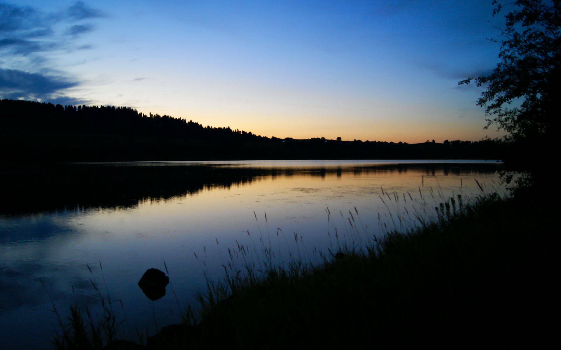 从沙特速胜到欧冠半决赛,特奥的王者之路如何重塑AC米兰