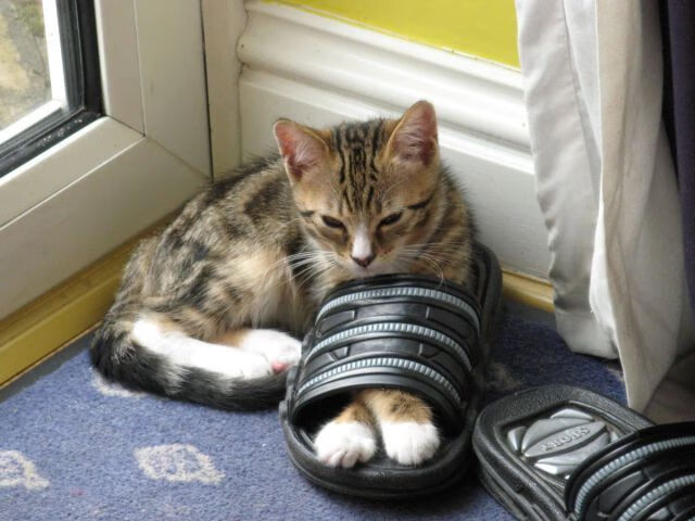 一记低射刺穿历史，奥利维耶让可能在第23分钟终结