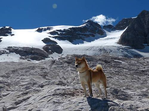 独行侠全面压制马刺,欧文再证硬仗之王本色