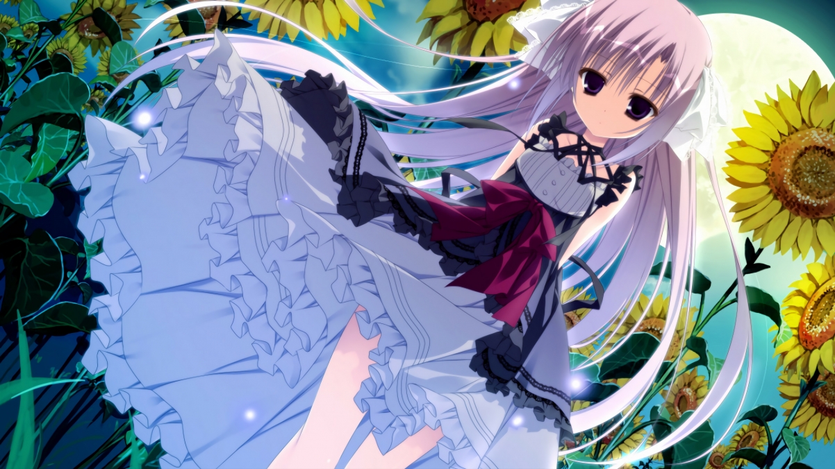 东京梦想的陨落,委内瑞拉如何在一场奥运资格生死战中强行终结新西兰的八年等待