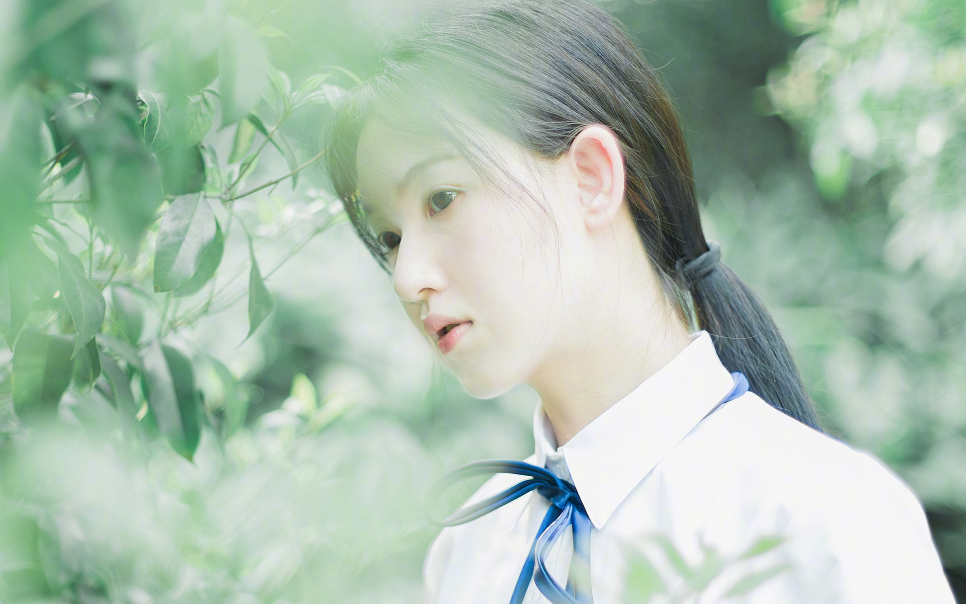 两种文明的消长，当拉齐奥的古典美学，遇见法兰西的致命一击