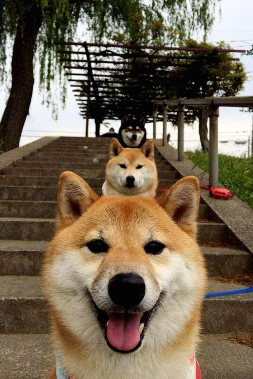 赖斯独造三球,洪都拉斯火山喷发碾压皇家社会—一场定义美丽混乱的战术博弈