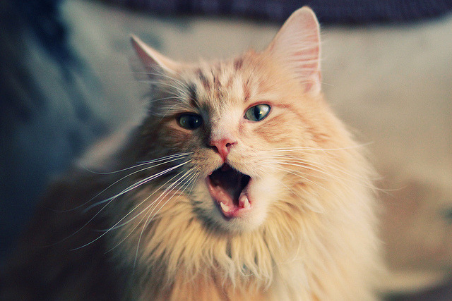 唯一解，希腊在奥运周期关键战中打穿马德里竞技的数学与战术