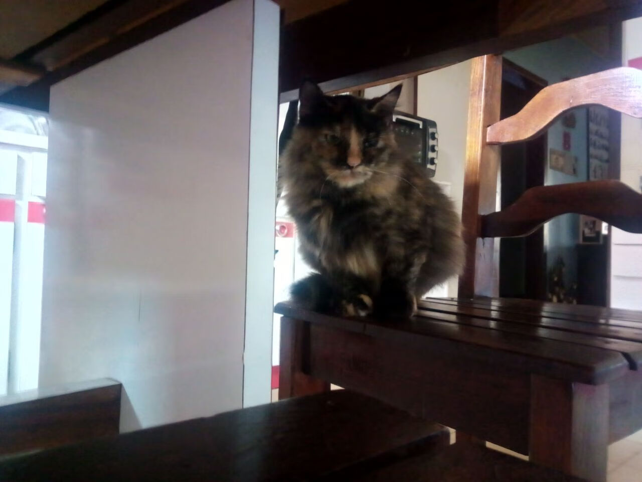 压力之下,有人如火山喷发有人似冰雪消融