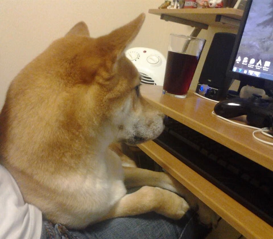 黑豹之舞与飞火流星，迪亚斯的涅槃之夜，马赛撕裂喀麦隆铁幕