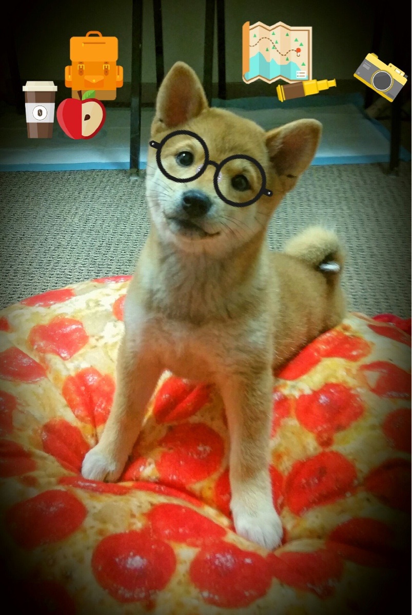 驯服时间，文班亚马如何在对阵开拓者的夜晚让篮球时钟为他倒流