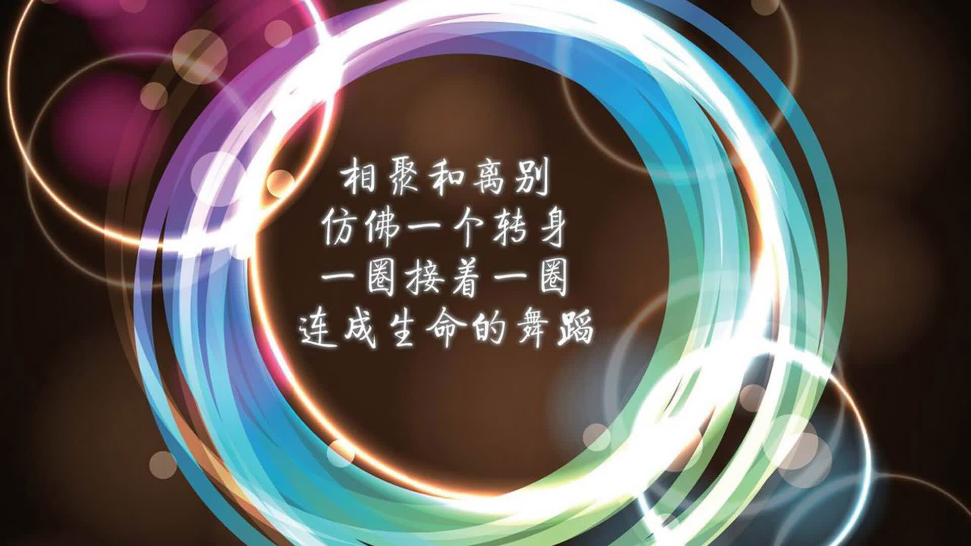 卡萨布兰卡的回响,2026世界杯,当北非雄鹰再次翱翔,巴雷拉注定改写历史